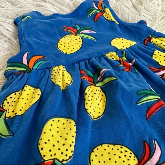 Hanna Andersson Rainbow Pineapple Blue Dress 3T - Picture 5 of 6